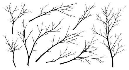 Obraz premium a vector isolated bare tree branches and leafless silhouettes for winter autumn nature and minimalist design.
