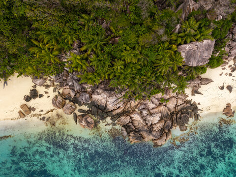 Aerial view of turquoise waters meeting the sandy shore, fringed by lush greenery and rugged rocks, creating a vibrant coastal tapestry, Baie Ste Anne, Seychelles.