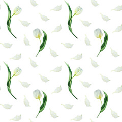 Fototapeta premium Watercolor Seamless Tulip Pattern, Hand Painted Botanical Spring Floral Background for Fabric and Surface Design