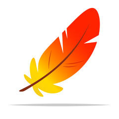 Scarlet macaw feather cartoon vector isolated illustration