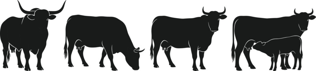 Black cow and bull silhouette vector set featuring grazing cattle, calf nursing, and livestock poses isolated on white background for farm and dairy themes. © IconicCreations