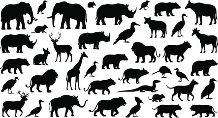 Collection of diverse animal silhouettes featuring elephants, lions, giraffes, birds, reptiles, and wildlife species in black vector design for education, identification, and creative projects © IconicCreations