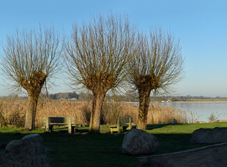 in Sieseby an der Schlei