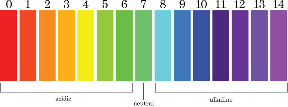 pH Scale Chart for Understanding Acidity Neutrality and Alkalinity Levels