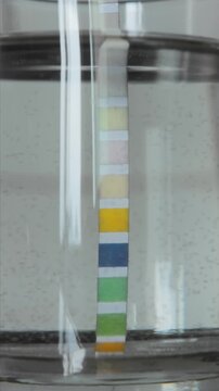 Close-up simple test strip immersed in clear tap water inside glass pitcher. Home water quality analysis for household consumption. pH level, hardness, alkalinity, chlorine, nitrites, nitrates, lead, 