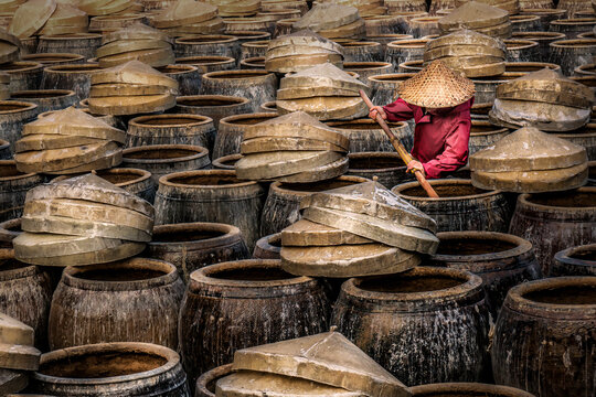 View of a worker in a conical hat stirs within a sea of earthen jars containing fish sauce / soy sauce, their lids askew, creating a landscape of texture and tradition, Xiapu, Fujian, China.