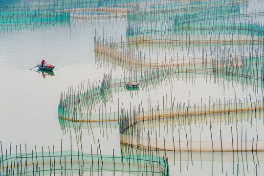 View of a lone rower navigates the tranquil waters amidst the intricate patterns of aquaculture pens, reflecting the soft light, Xiapu, Fujian, China.