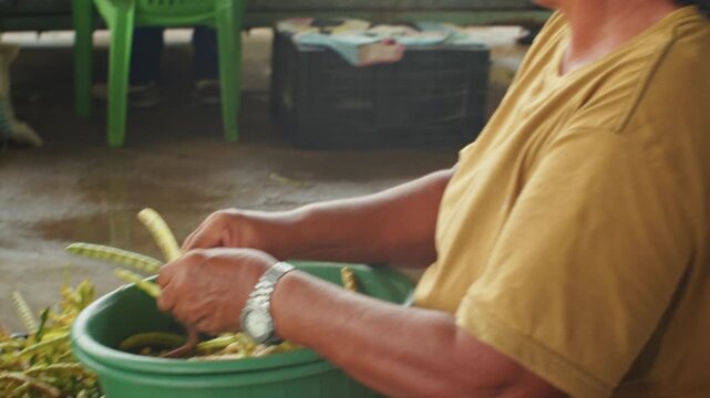 raditional Farmers Market in Bel&eacute;m do S&atilde;o Francisco with Fresh Produce and Local Butcher Shop