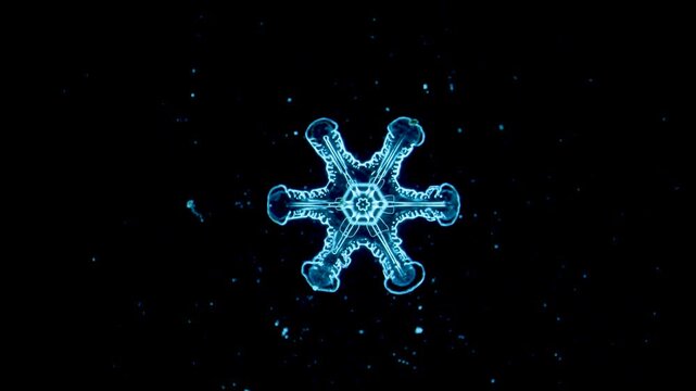 Blue snowflake ice crystal under microscope darkfield