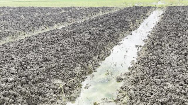 Freshly plowed agricultural field with irrigation ditch