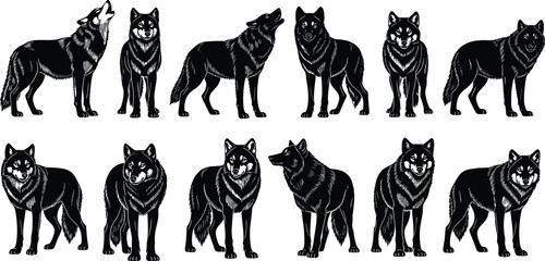Black wolf and wild canine silhouette set, forest predator icons with howling and standing poses, nature animal vector for wilderness design, © Mehedi