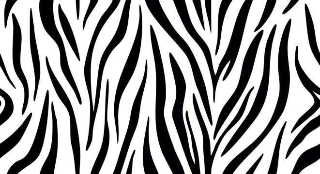Classic black and white zebra stripe pattern design background with vertical wild texture