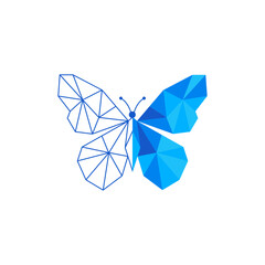 Abstract polygonal butterfly illustration with blue gradient facets and geometric wireframe wings, blending outline and filled shapes in a modern minimalist vector style.