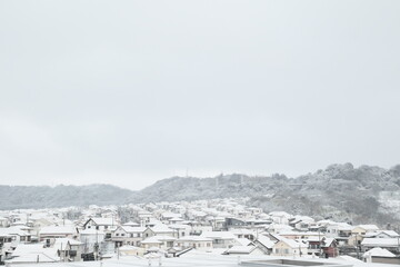 winter landscape with snow