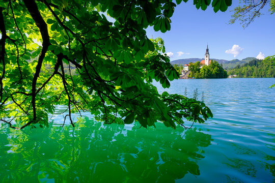 Lake Bled with Blejski Otok island and church in Slovenia