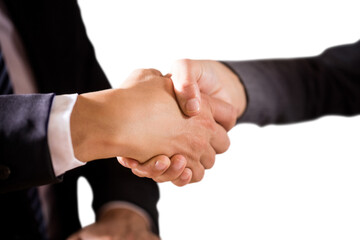 Male and female corporates shaking hands