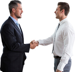 Smiling businessmen shaking hands