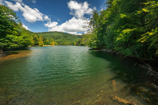 View of the serene lake reflecting the sky, surrounded by dense green trees under a partly cloudy sky, Morske Oko, Kosice Region, Slovakia.