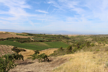 Obraz premium Dirt path with mountain Montejurra (Jurramendi) and vineyard landscape after Torres del Rio in Navarra Spain July 2024
