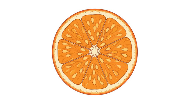 Close up of a vibrant orange slice showing segments and texture.