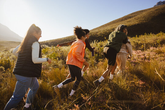 Group hiking on a scenic trail