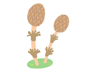 まるっこい つくし 主線なし