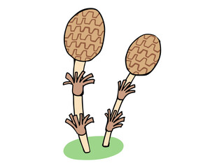 まるっこい つくし