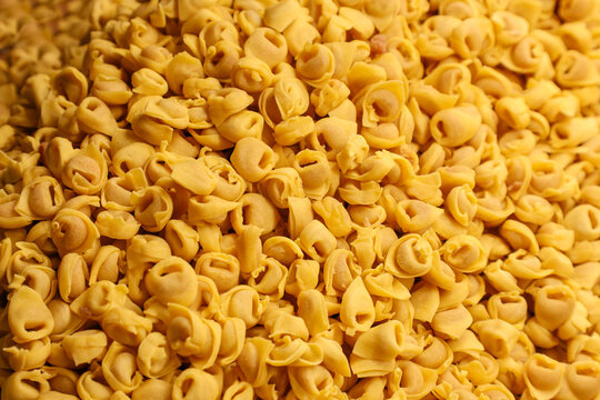 Original Italian Tortellini Bolognesi pasta photographed before being cooked