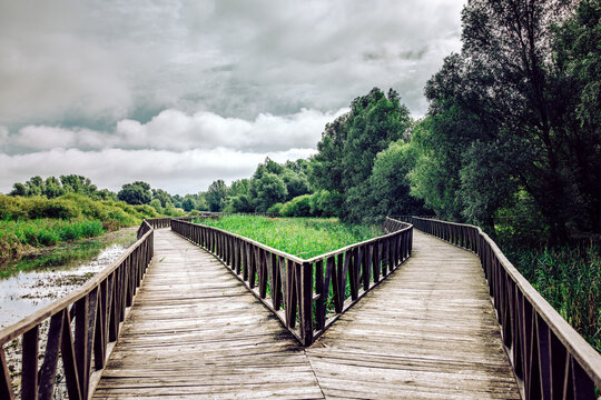 View of wooden pathways diverge like open arms into a vibrant green landscape under a sky heavy with clouds, Kopa&Auml;evo, Osje&Auml;ko-baranjska &Aring;&frac34;upanija, Croatia.