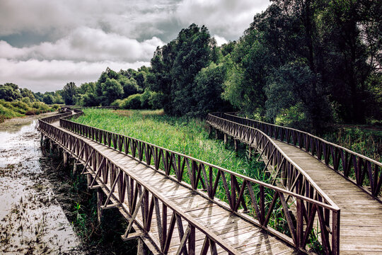 View of wooden pathways cutting through lush green wetlands under a dramatic sky, inviting exploration of nature's serene beauty, Kopa&Auml;evo, Osje&Auml;ko-baranjska &Aring;&frac34;upanija, Croatia.