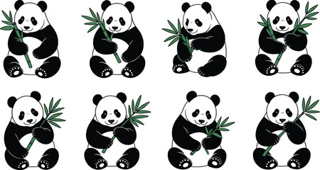 Cute panda cartoon illustration set, adorable panda bears eating bamboo, multiple sitting poses, playful wildlife characters, black and white vector art isolated on white background © LITON WORLD