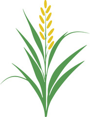 Fototapeta premium Flat vector illustration of rice plant, simple green and yellow solid colors, clean outline, no gradient, isolated on white background 2