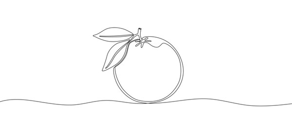 Orange with leaves in one line art style. Drawing of a whole citrus fruit with a branch and leaves, made by a continuous line. Vector illustration.