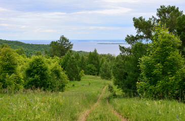 Green Path Leading to a Distant River Landscape copy space