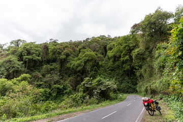 Carretera solitaria en bosque tropical
