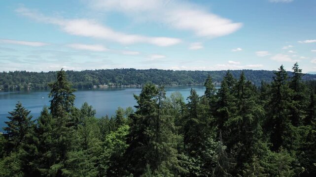 Rising Drone Reveal of Scenic Suburban Lake