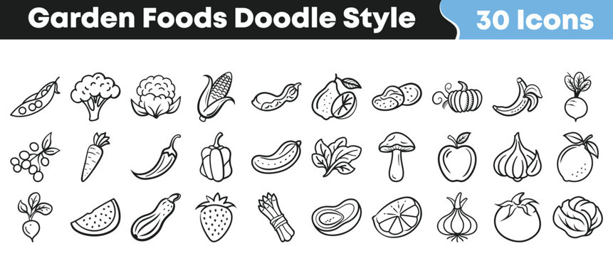 Thirty hand drawn garden foods icons representing various vegetables fruits and nuts available in a delightful doodle style set