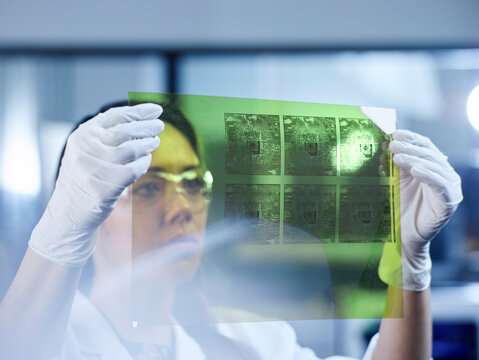 Female technician controlling foil printing with circuitry