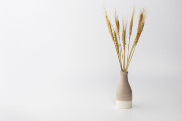 Decorative vase with dried wheat stems on a plain background in a well-lit indoor setting during day time