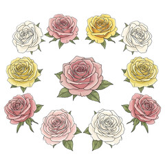 Beautiful Illustrated Roses Floral Circle Frame on Black Background