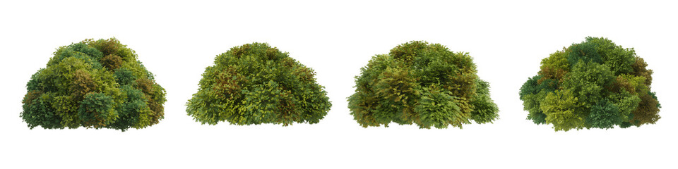 Collection for Four green bush shapes isolated on transparent background