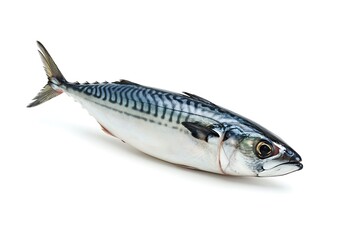Naklejka premium Fresh whole mackerel fish with distinct striped pattern on white surface