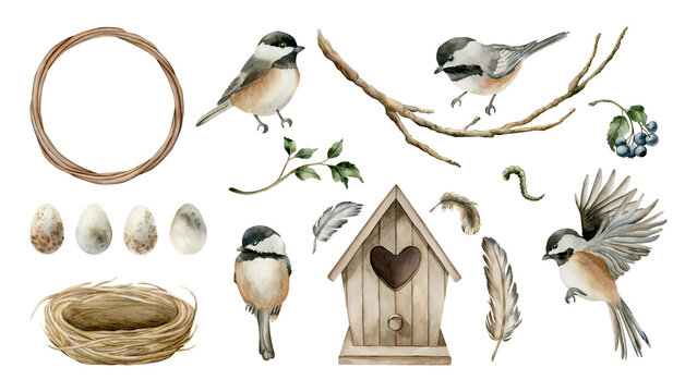 Chickadee Birds Birdhouse Nest Eggs Feathers Set. Watercolor hand drawn illustration isolated on white background for Easter decor spring design cottagecore rustic card poster rural print home textile