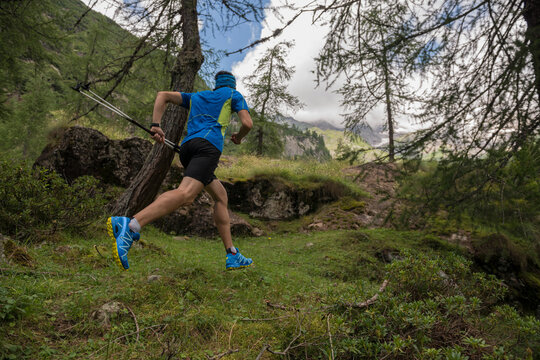 Italy, Alagna, trail runner on the move in forest