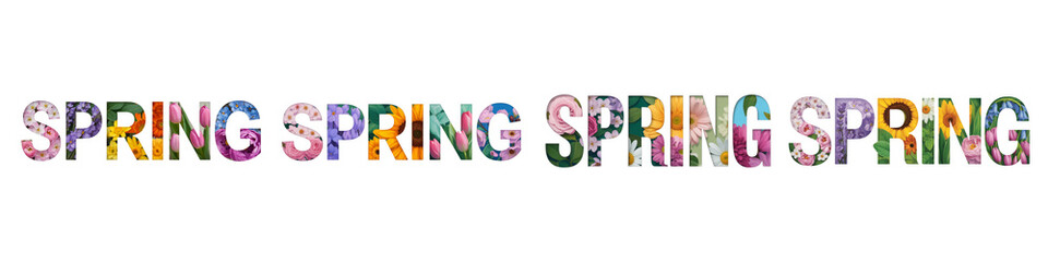 Collection for Colorful spring text graphic isolated on transparent background