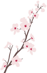 pink cherry blossom