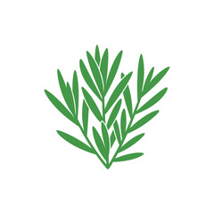Fototapeta premium Tarragon Herb with Compact Leaf Cluster Decorative Flat 2D Botanical Vector Illustration