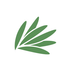 Fototapeta premium Tarragon Leaves Forming Subtle Curve Botanical Herb Illustration Fresh Green Foliage
