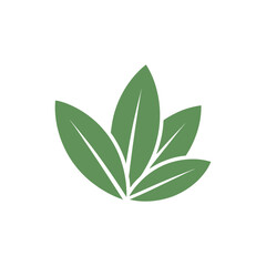 Tarragon Leaves Layered in Clean Order Botanical Herb Illustration Green Garden Foliage