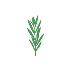 Fototapeta premium Tarragon Leaves Pointing Upward Strong Vertical Layout Botanical Culinary 2D Vector Icon